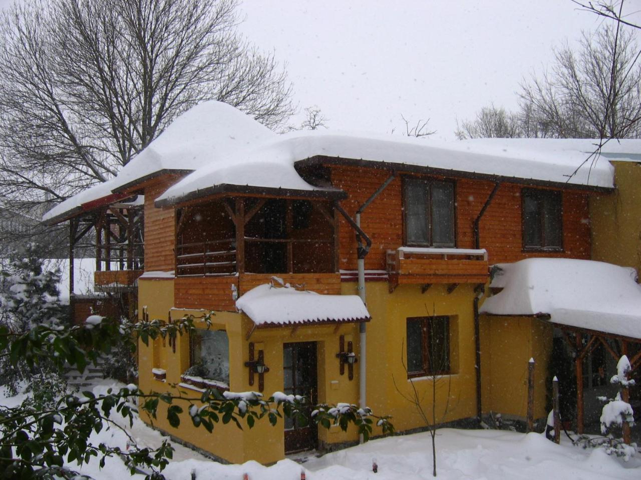 Casa Mica Guesthouse Bükreş Dış mekan fotoğraf