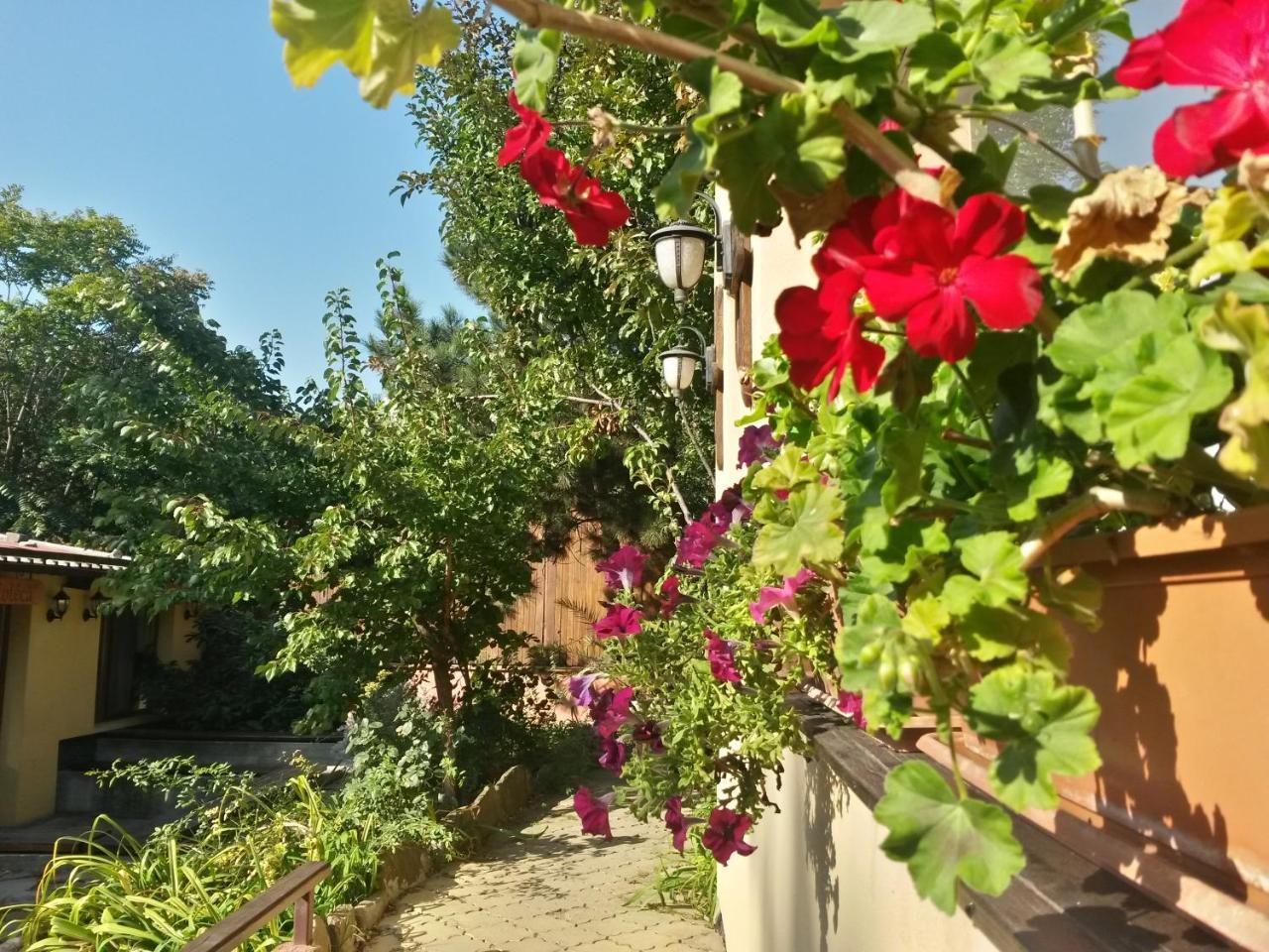Casa Mica Guesthouse Bükreş Dış mekan fotoğraf