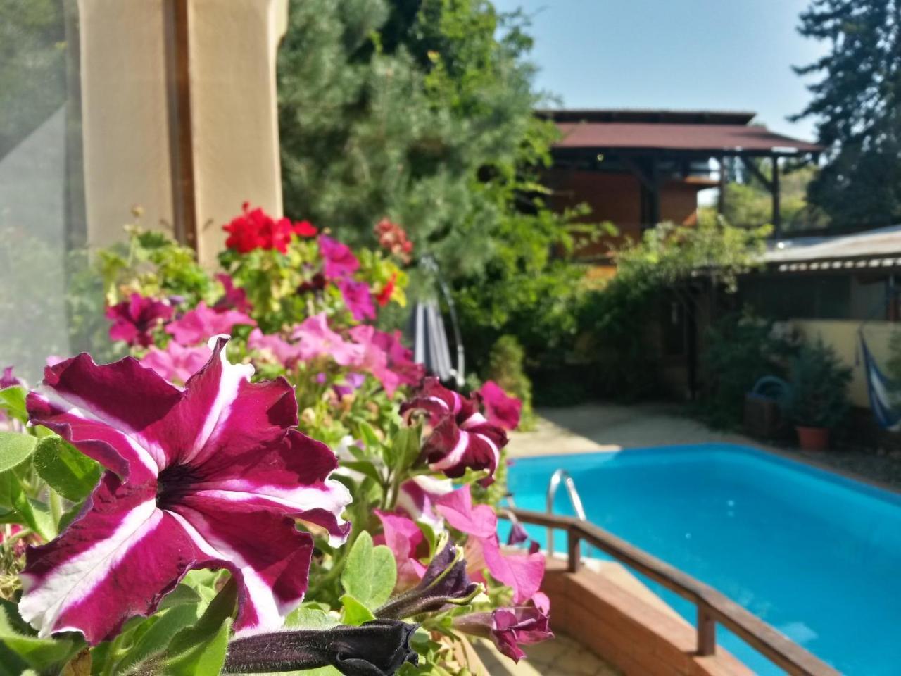 Casa Mica Guesthouse Bükreş Dış mekan fotoğraf