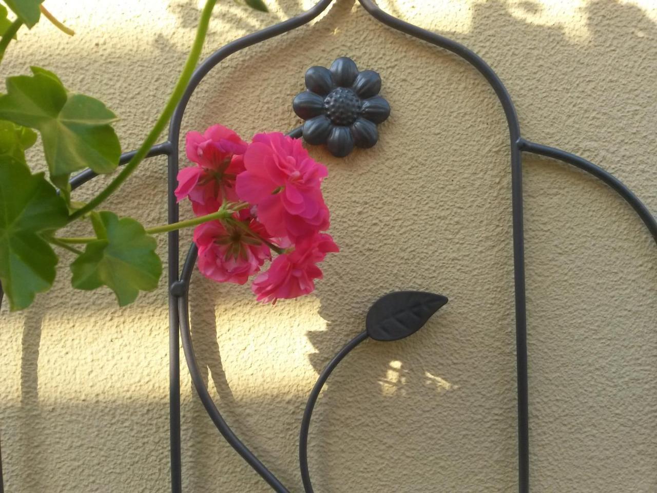 Casa Mica Guesthouse Bükreş Dış mekan fotoğraf