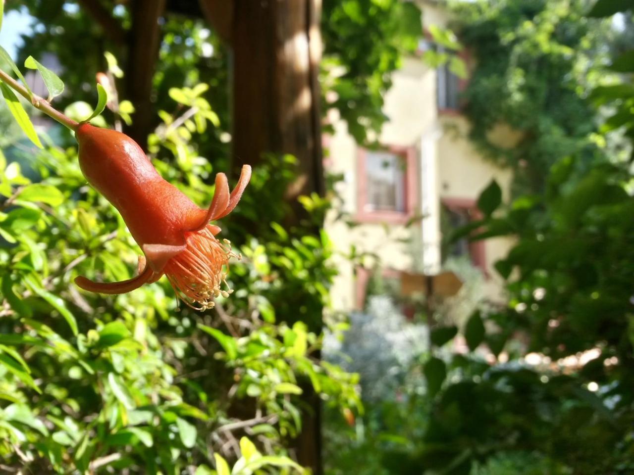 Casa Mica Guesthouse Bükreş Dış mekan fotoğraf