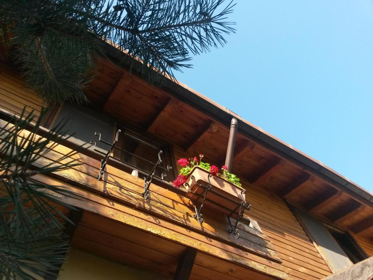 Casa Mica Guesthouse Bükreş Dış mekan fotoğraf